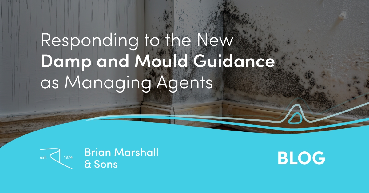 Responding to the New Damp and Mould Guidance as Managing Agents